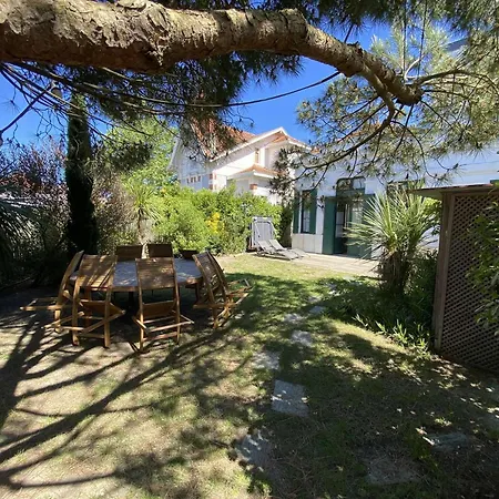 Apartman 155-soulac Sur - 155 - Cosy Avec Jardin En Plein Coeur De Mae-2533 *